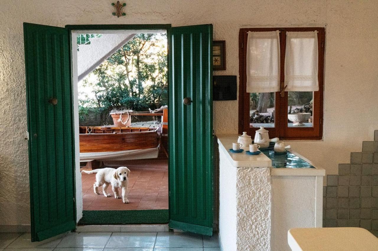 Villa Angela Santa Teresa Gallura Ngoại thất bức ảnh
